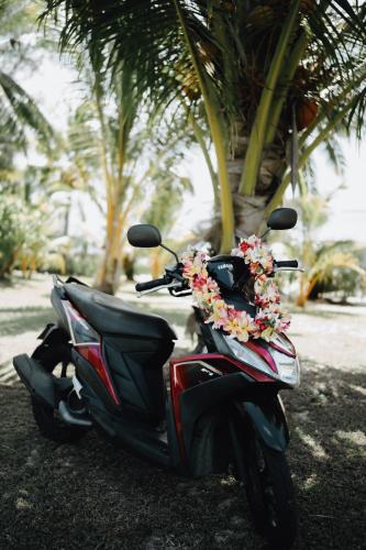 a motor scooter parked next to a palm tree at Tai Marino Beach Bungalows in Amuri