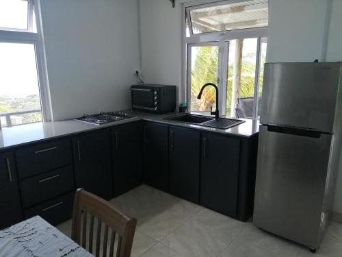 eine Küche mit einem Kühlschrank, einer Spüle und einer Mikrowelle in der Unterkunft Ô Bercail du Sud-Hibiscus chez Jeannette in Mt Bois Noir