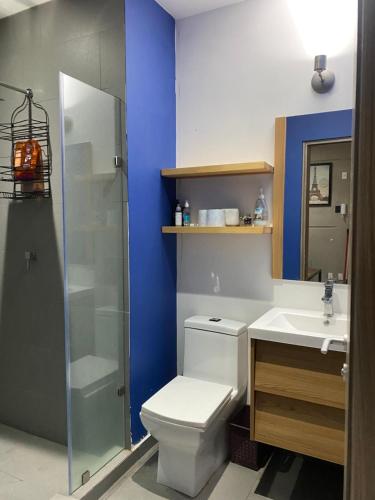 La salle de bains est pourvue de toilettes, d'une douche et d'un lavabo. dans l'établissement Habitación privada, à Mexico