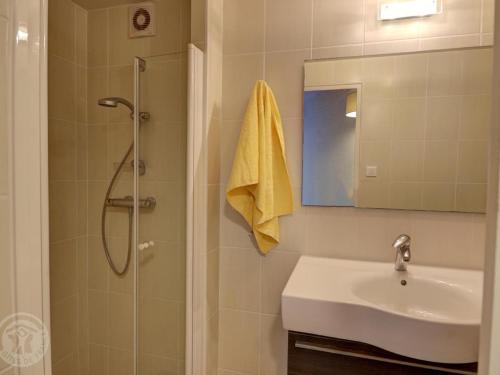 ein Bad mit einem Waschbecken und einer Dusche mit einem Spiegel in der Unterkunft Gîte Saint-Symphorien-de-Lay, 3 pièces, 4 personnes - FR-1-496-278 in Saint-Symphorien-de-Lay