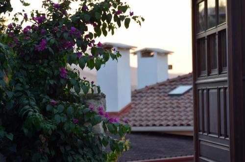 a bush with purple flowers next to a building at Ayasoluk Hotel & Restaurant in Selcuk