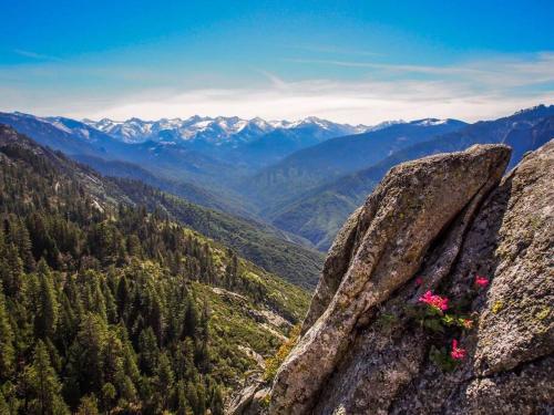 a view from the top of a mountain at Sequoia Splendor, inside Kings Canyon NP by Visitors Center in Wilsonia