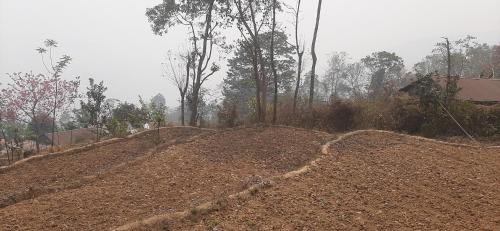 um monte de terra numa colina com árvores em Aarav Homestay em Kalimpong