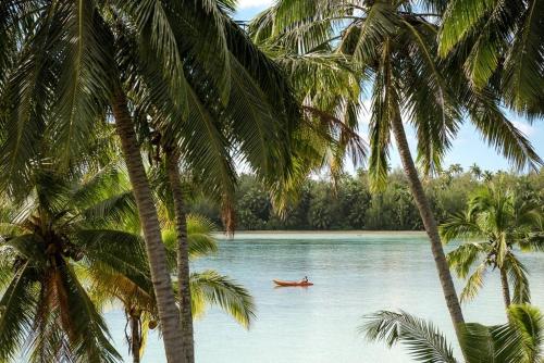a person in a boat in the water between palm trees at B's Beach House on Muri Lagoon in Rarotonga