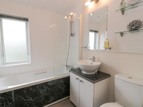 a bathroom with a sink and a toilet and a mirror at Oyster Bay Lodge in Dalbeattie