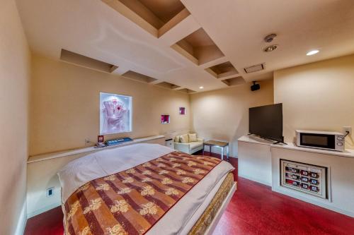 a bedroom with a bed and a tv and a fireplace at Hotel Cordon -Adult Only in Osaka