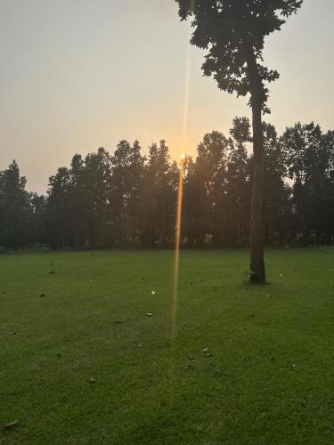 a tree in a field with the setting sun at Hideaway By Aahma in Rāmnagar