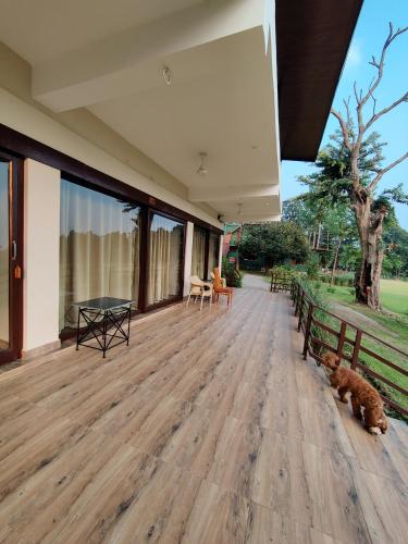an outdoor deck with a table and a dog laying on the floor at Hideaway By Aahma in Rāmnagar