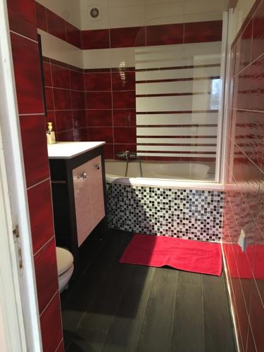 a bathroom with a tub and a toilet and a red rug at studio avec terrasse de 20 m2 in Vidauban