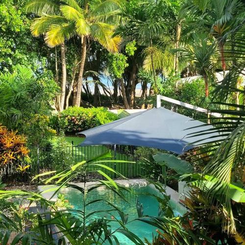 a blue umbrella in a garden with palm trees at Mission Beachfront Cottage in Mission Beach