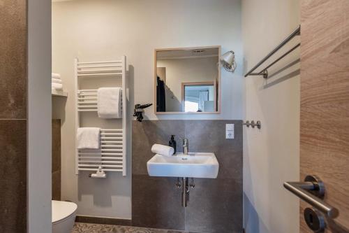 a bathroom with a sink and a mirror at Hof Himmelgrün in Saal