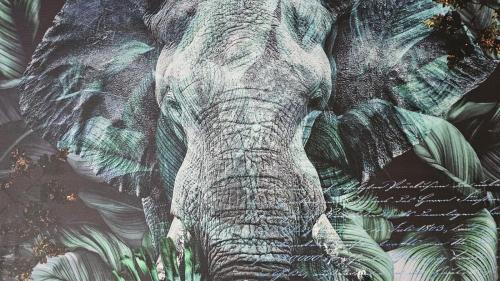 a painting of an elephant in the jungle at Kolo Apartament Gold in Koło