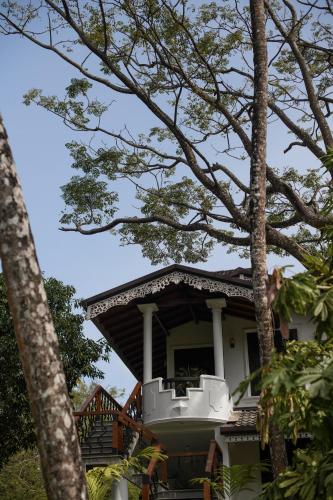a house with a bird sitting on top of it at Roots Retreat in Unawatuna