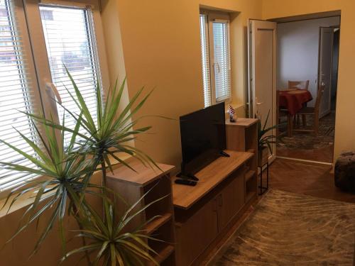 a living room with a flat screen tv and two plants at Апартамент Плевен in Pleven