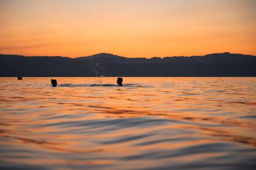 two people swimming in the water at sunset at Insel der Sinne in Görlitz