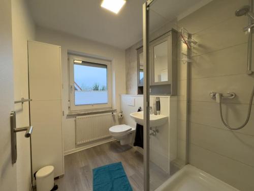 a bathroom with a shower and a toilet and a sink at Windfang 2 in Hooksiel in Wangerland