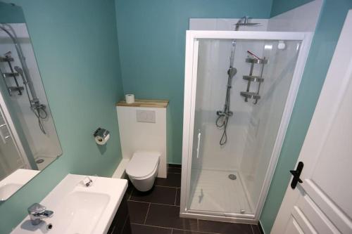 a bathroom with a shower and a toilet and a sink at Au 38, Charme et Confort dans notre T2 à Epernay in Épernay