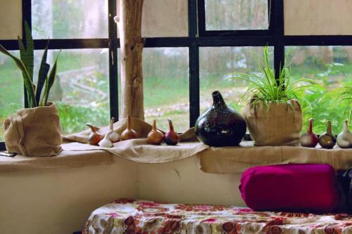a room with windows with plants and vases on the windowsill at Ragu Farm Eco Nest in Kalangala