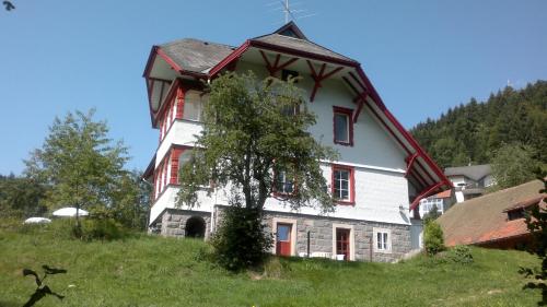 une grande maison au sommet d'une colline dans l'établissement Hotel La Quinta - adults only, à Todtmoos