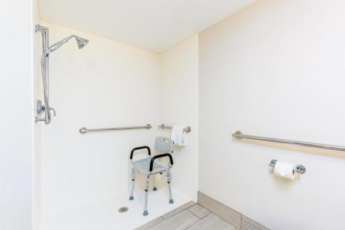 a walk in shower with a chair in a bathroom at Holiday Inn Express Hotel & Suites Bradenton West, an IHG Hotel in Bradenton