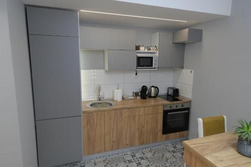 斯科普里Skopje CityNest Apartment的一个小厨房，里面有水槽和炉灶。