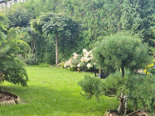a green yard with trees and bushes at Vila Šventoji in Šventoji