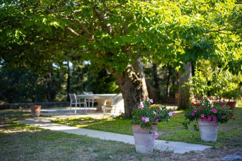 two flower pots with flowers in a park at Le Mas Sérénité in Ansouis