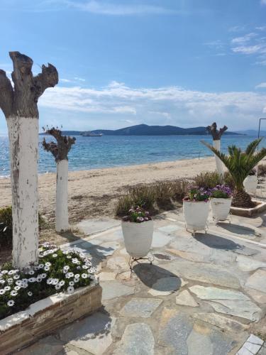 Φυσικό τοπίο κοντά σε αυτό το διαμέρισμα
