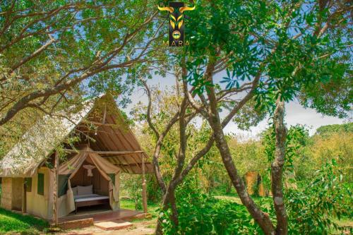 una pequeña casa con techo de paja y un árbol en Mara Olodare, en Ololaimutiek