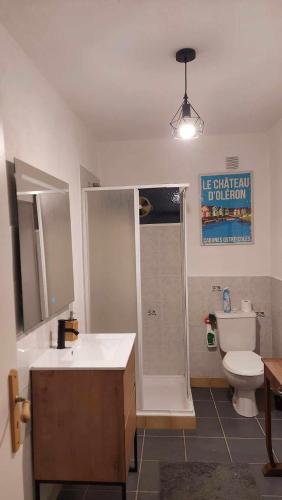 une salle de bain avec toilettes, lavabo et douche dans l'établissement Chambre agréable au fond du jardin, à Sancoins