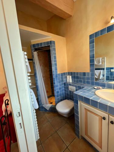 a blue tiled bathroom with a toilet and a sink at Le Mazet des Mûres in Grimaud