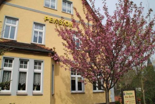 a tree with pink flowers in front of a building at Pension Villa Martha in Burg Stargard