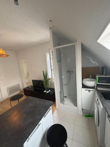 - une cuisine avec un évier et une douche en verre dans l'établissement Église de pontoise, à Pontoise