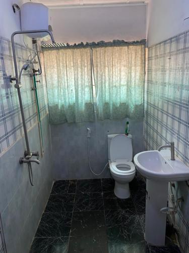 a bathroom with a toilet and a sink at Harmonious haven services in Ibadan