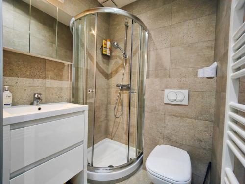 a bathroom with a shower and a toilet and a sink at Mythique Miramar Cannes Croisette Terrasse Clim Parking Wifi in Cannes