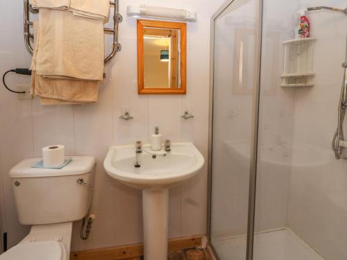 une salle de bain avec toilettes, lavabo et douche dans l'établissement Alba Ben View, à Spean Bridge