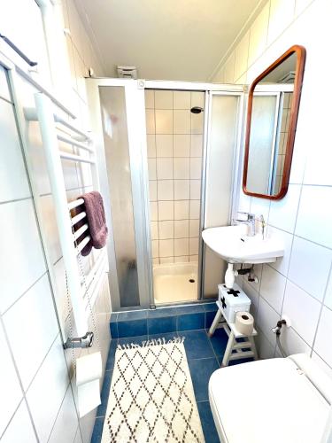 a bathroom with a sink and a toilet and a shower at Mooie woonboot op eiland, kachel, natuur, sloep! in Grou