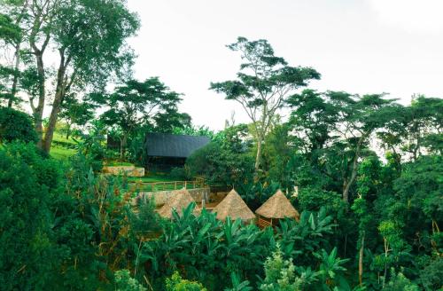 a view of a jungle with trees and buildings at Materuni Homes in Moshi