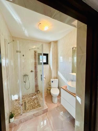 a bathroom with a shower and a toilet and a sink at Iepurasul Sinaia in Sinaia