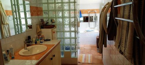uma casa de banho com um lavatório e uma parede de vidro em Villa conviviale au soleil avec piscine em Seillans