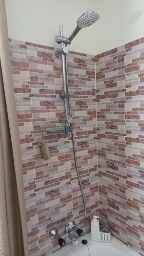 a shower in a bathroom with a brick wall at dachstein view in Bad Goisern