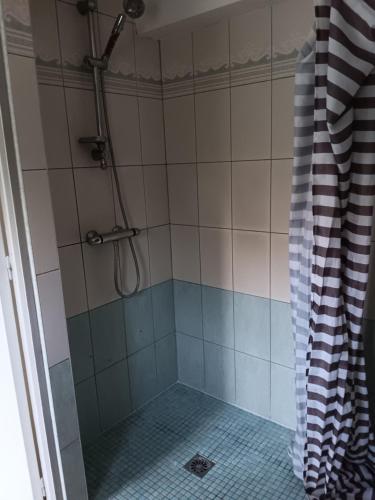 a bathroom with a shower with a blue and white tiles at La petite ferme in Saint-Pierre-des-Nids