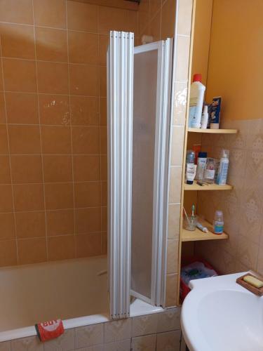 eine Dusche mit Glastür im Bad in der Unterkunft Les Airelles 33, Le coin, Molines en Queyras Classé 3 étoiles in Molines-en-Queyras
