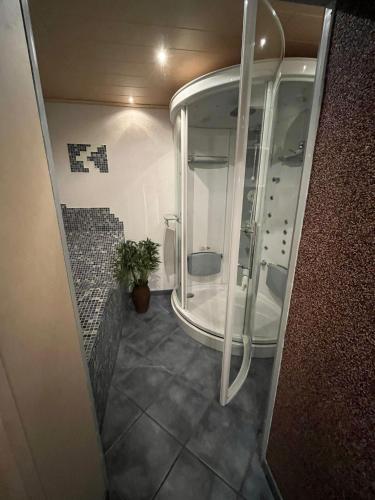 a small bathroom with a shower with a plant in it at Wohnen auf Zeit Hagen Monteurunterkunft & Übergangswohnungen in Hagen