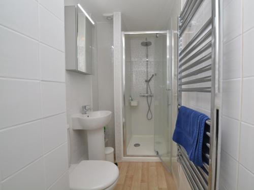 uma casa de banho com um WC, um lavatório e um chuveiro em 2 Bed in Charmouth DC077 em Charmouth