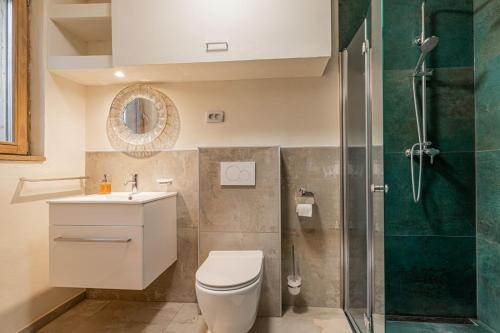 a bathroom with a shower and a toilet and a sink at GORIČKE IŽE in Križevci