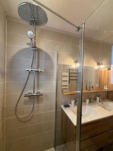 une salle de bain avec douche et lavabo dans l'établissement Maison aux Portes de Paris, à Vitry-sur-Seine