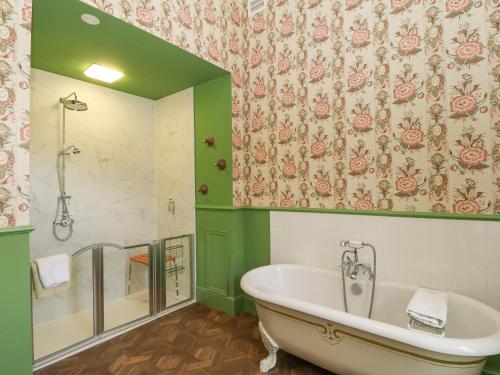 a bath tub in a bathroom with a green wall at Derry - Mar Lodge Estate in Ballater