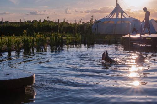 a person standing on a dock in the water at Moat Island Glamping in Norwich