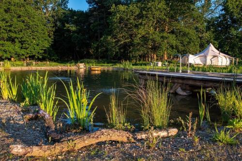 a tent in a field with a pond and a tent at Moat Island Glamping in Norwich